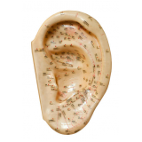 acupuntura auricular emagrecimento clínica Cursino